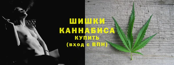 прущий лед Богородицк