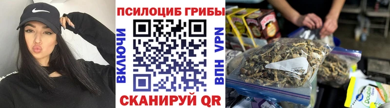 Псилоцибиновые грибы мухоморы  купить  сайты  Абакан 