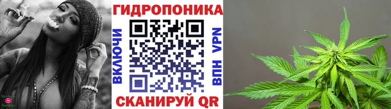 Бошки Шишки THC 21%  Абакан 